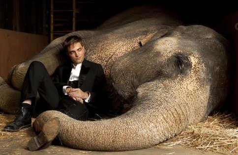 Water for Elephants