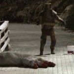 Movie Review: Trollhunter