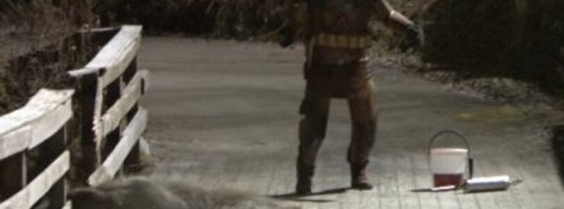 Movie Review: Trollhunter