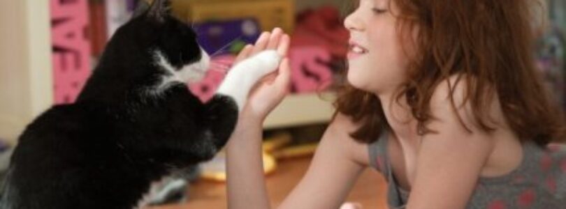 Movie Review: Judy Moody and the NOT Bummer Summer