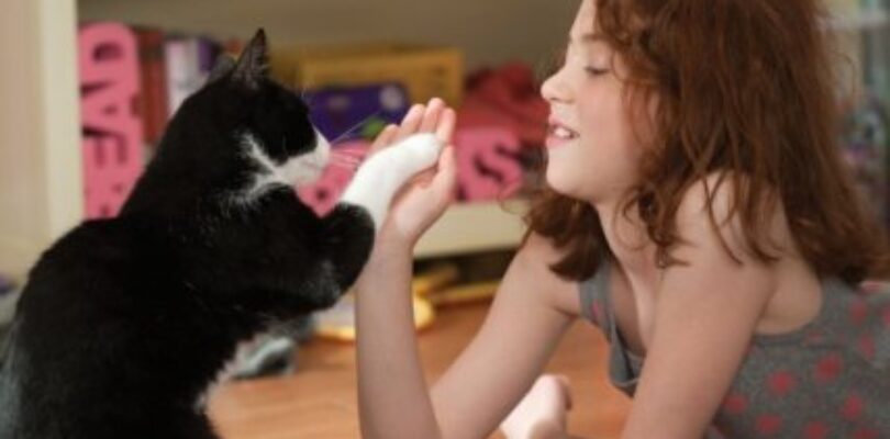 Movie Review: Judy Moody and the NOT Bummer Summer