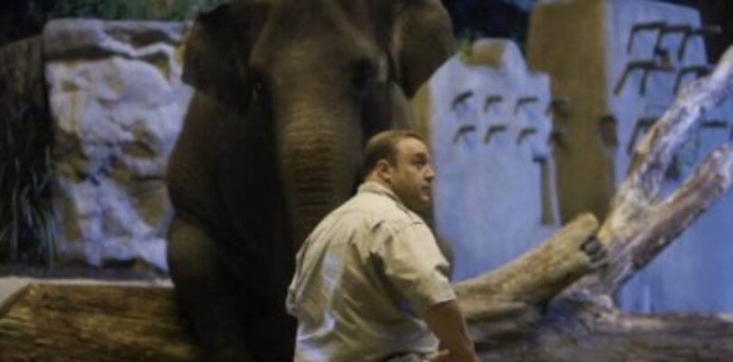 Movie Review: Zookeeper