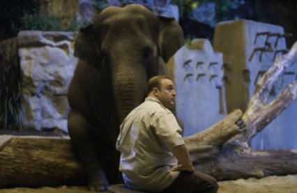 Kevin James in Zookeeper. © 2011 - Columbia TriStar.