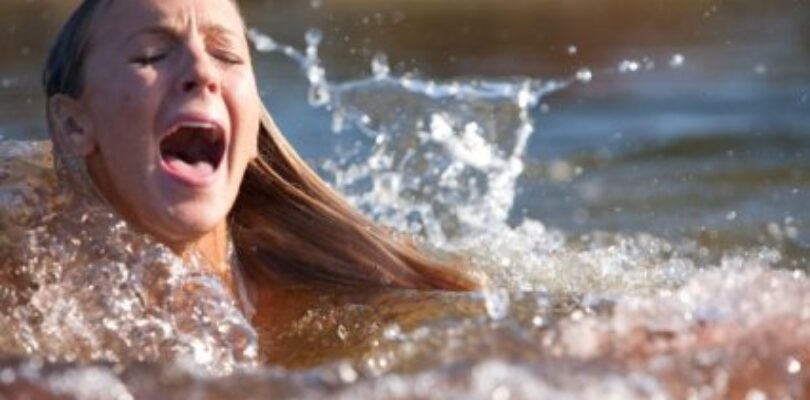 Movie Review: Shark Night 3D