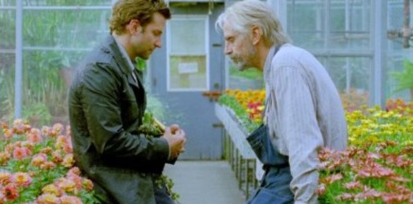 Moview Review: The Words