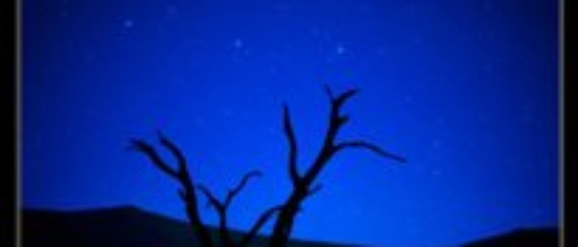 Samsara Ticket Giveaway!