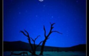 Samsara Ticket Giveaway!