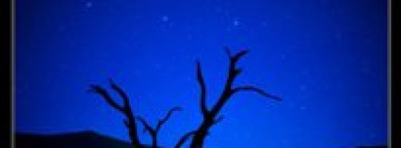 Samsara Ticket Giveaway!