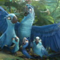 Rio 2
