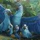 Rio 2