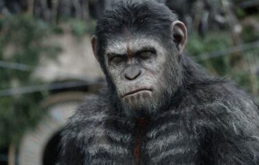 Dawn of the Planet of the Apes