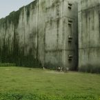 The Maze Runner