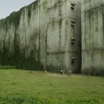 The Maze Runner