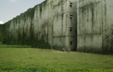 The Maze Runner