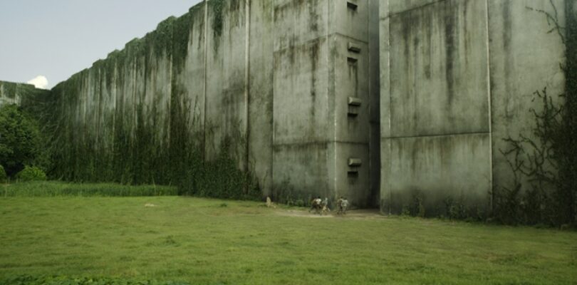 The Maze Runner