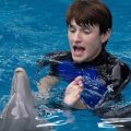 Dolphin Tale 2