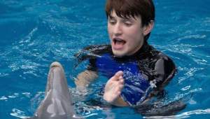 Dolphin Tale 2