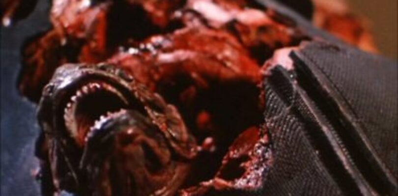 Piranha 2: The Spawning