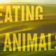 Eating Animals