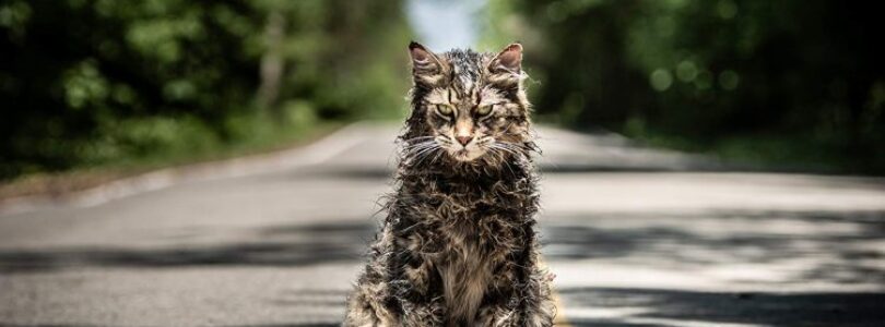 Pet Sematary