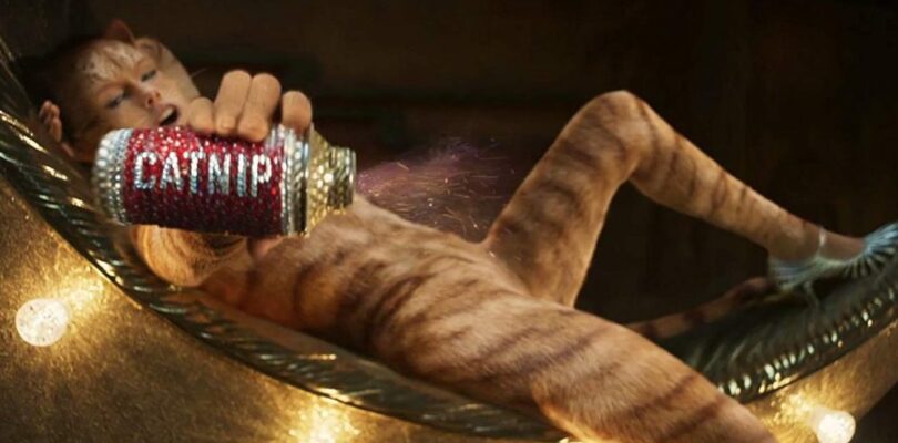 Taylor Swift in Cats