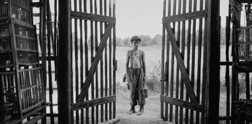 Petr Kotlár in The Painted Bird