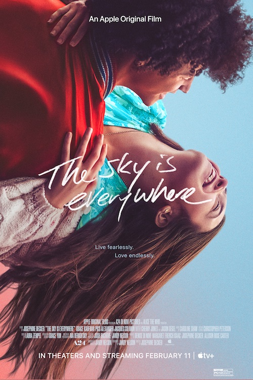 The Sky Is Everywhere poster