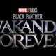 "Black Panther: Wakanda Forever"