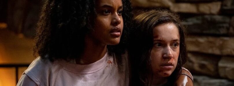 Courtesy of Toronto Film Festival.