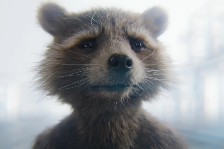 Bradley Cooper in "Guardians of the Galaxy Vol. 3"