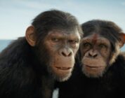 "Kingdom of the Planet of the Apes"