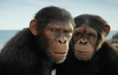 "Kingdom of the Planet of the Apes"