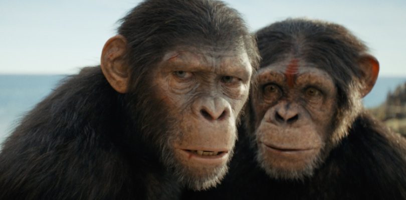 "Kingdom of the Planet of the Apes"