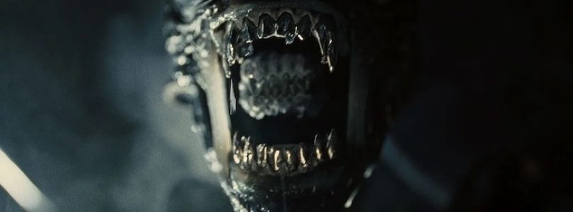 Xenomorph in "Alien: Romulus."