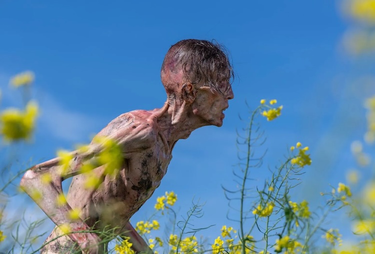 “28 Years Later.” © 2024 CTMG Inc. & Sony Pictures Entertainment Inc.